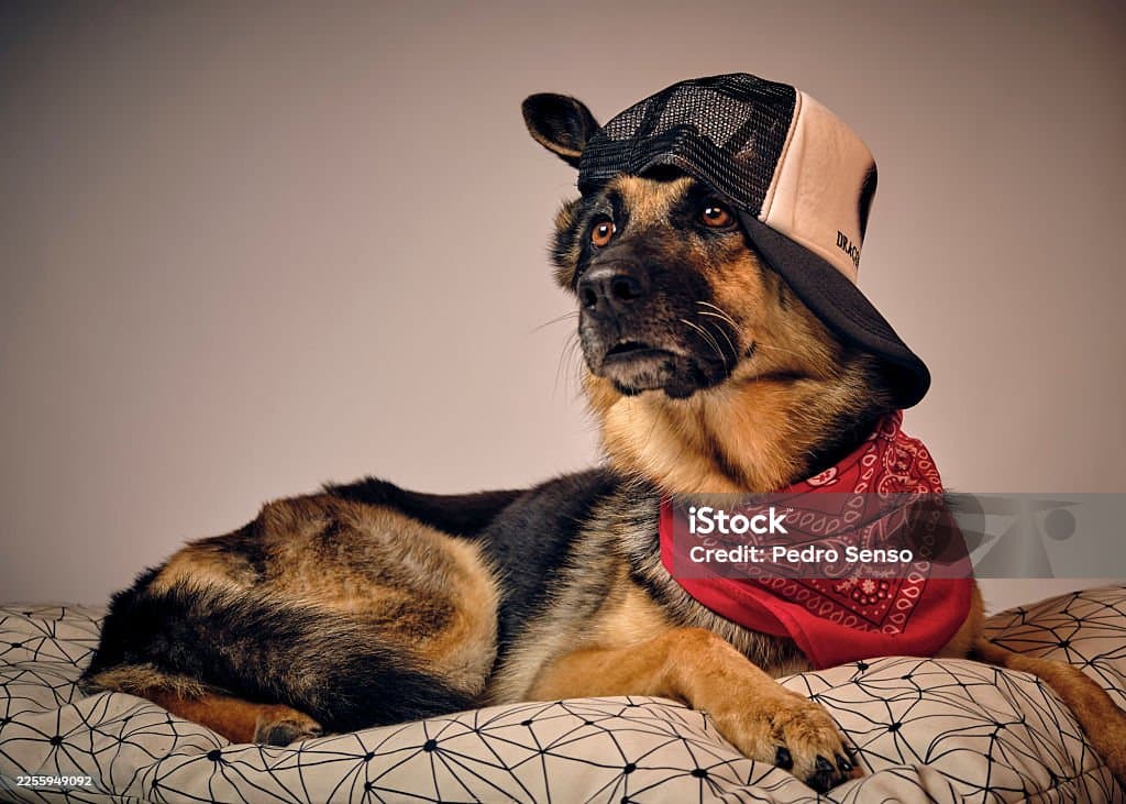 Gorra Snapback